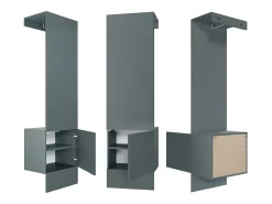 Armario Carlton Neo, Perchero de pared con panel de vestíbulo, espejo, barra para ropa y armario de pared, Fiordo verde (52 x 193 x 35 cm)