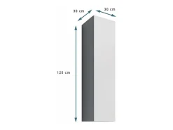 Armario colgante para Salón comedor en Blanco 30x30x120cm Aitana O1