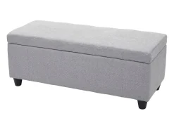 Cofre de almacenamiento Kriens, gris claro