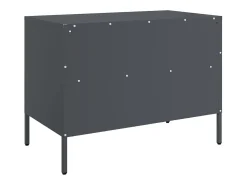 Dundrum Mueble para TV acero gris antracita 68x39x50,5 cm