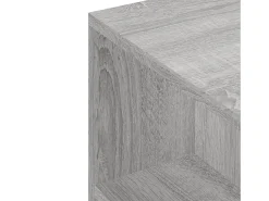 Elli Mueble de TV madera de ingeniería gris Sonoma 102x34,5x43 cm