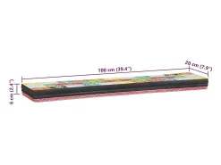 Estantes de pared con balda 2 uds Multicolor 100 x 20 x 6 cm