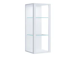 Estuche de exhibición de pared Glasol
