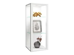 Estuche de exhibición de pared Glasol