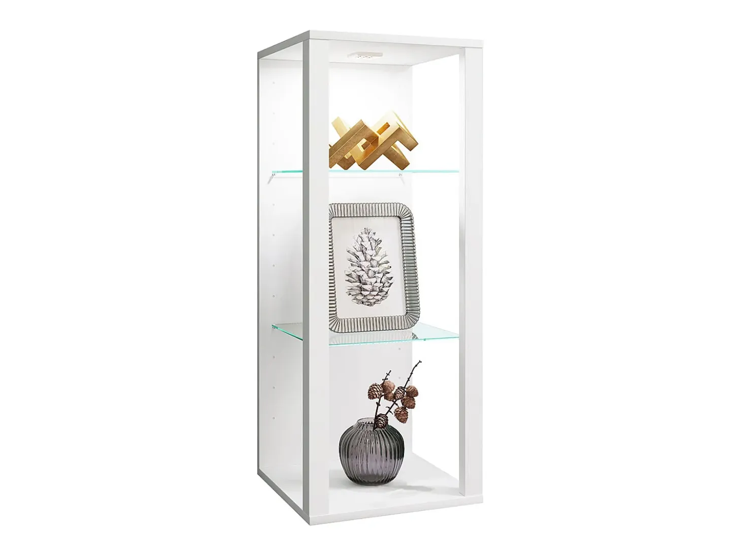 Estuche de exhibición de pared Glasol