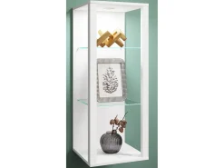 Estuche de exhibición de pared Glasol