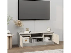Eugene Mueble de TV con puerta gris hormigón 102x30x36 cm