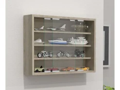 Gabinete de exhibición de pared Agisa