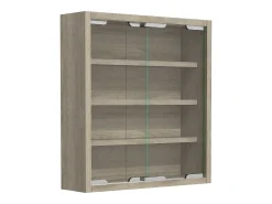 Gabinete de exhibición de pared Agisa