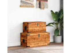 Juego de cofres de almacenamiento 2 uds madera de mango rugosa