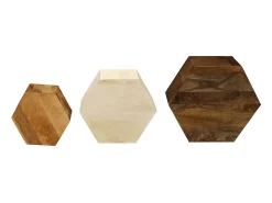 Juego de mesa de centro de 3 piezas Madera maciza de mango