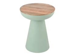 Mesa auxiliar redonda de diseño con almacenamiento en metal celadón y madera maciza de mango H52 cm TAM