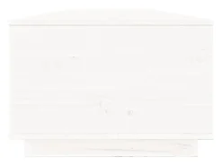 Mesa de centro de madera maciza de pino blanco 100x50x35 cm