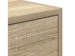 Mueble de TV de roble Sonoma 100x31x25,5cm Madera de ingeniería