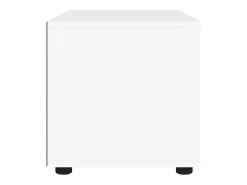 Mueble de TV VISNES blanco 60x40x38 cm madera de ingeniería