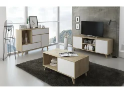 Mueble TV 100 Modelo WIND, color estructura roble, color puerta Blanco, 95x40x57cm