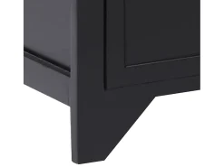 Éric-Paul-Louis Mueble para TV madera maciza de paulownia negro 108x30x40 cm