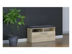 RIVI | Zapatero + asiento + almacenaje | Puerta basculante | 46x85x35 | 6 estantes | Armario de zapatos