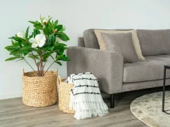 Set van 2 ronde decoratieve manden PASSO – Natuurlijke waterhyacint