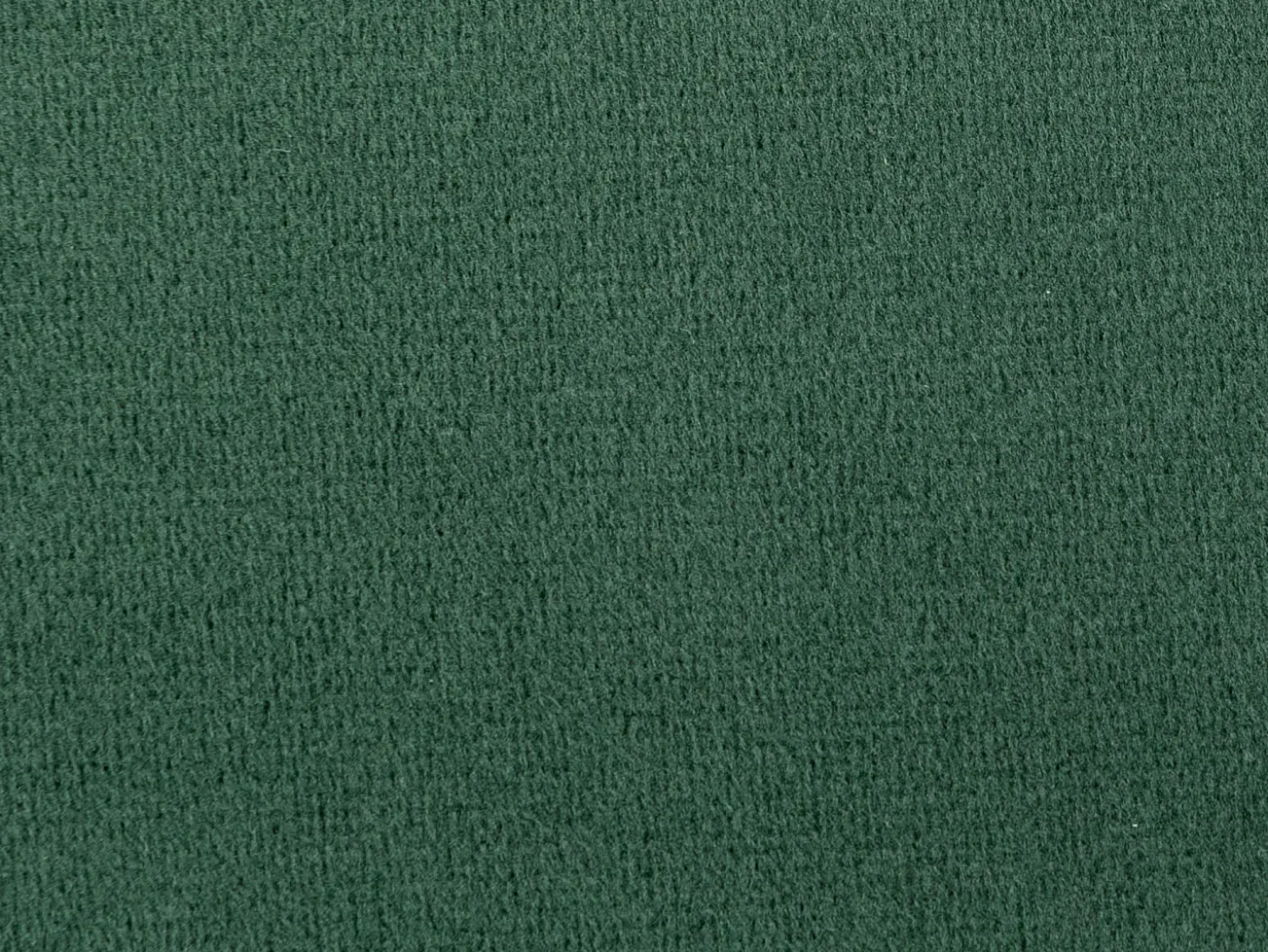Sofá 2 plazas de terciopelo verde pino con forma de concha DANDELION