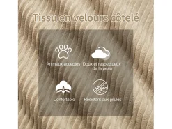 Sofá Modular 2 plazas en Pana con 2 cojines, sin montaje, 204x104x69cm, Beige