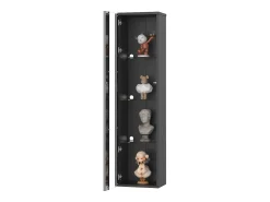 Vitrina 40×29×170 cm - iluminación LED multicolor con mando - divisiones de cristal - negro