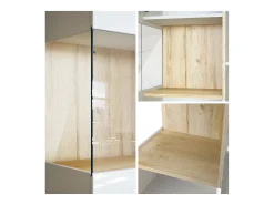 Vitrina Cómoda Morena, cuerpo en negro mate/ puerta derecha e inserción en blanco de alto brillo con iluminación LED