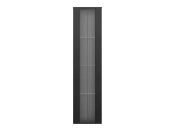 Vitrina con puerta acrílica e iluminación LED - estantes de cristal - Negro 40 x 29 x 170 cm