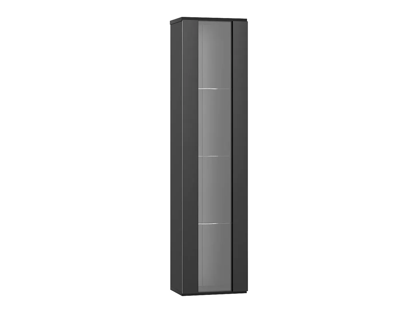 Vitrina con puerta acrílica e iluminación LED - estantes de cristal - Negro 40 x 29 x 170 cm