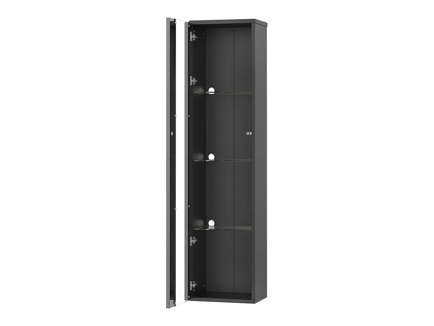 Vitrina con puerta acrílica e iluminación LED - estantes de cristal - Negro 40 x 29 x 170 cm