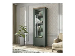 Vitrina de 1 puerta con LED integrados colección ASSIA. Color verde y roble. Apertura derecha.