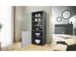 Vitrina Granada de Vladon, Armario Vitrina Made in Germany con Puerta de Cristal e Inserto de Cristal incl. LED, antracita mate/roble natural (50 x 122,5 x 34,5 cm)