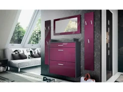 Vladon Mueble recibidor Malea, Mueble de entrada compuesto por 1 Zapatero colgante, 1 Espejo de pared y 2 Percheros, Antracita mate/Zarzamora de alto brillo
