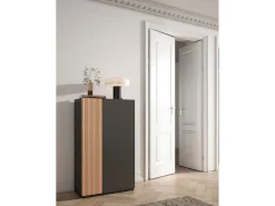 Zapatero - A122cm x L70cm x P35cm grafito puerta serig vallado - Akra