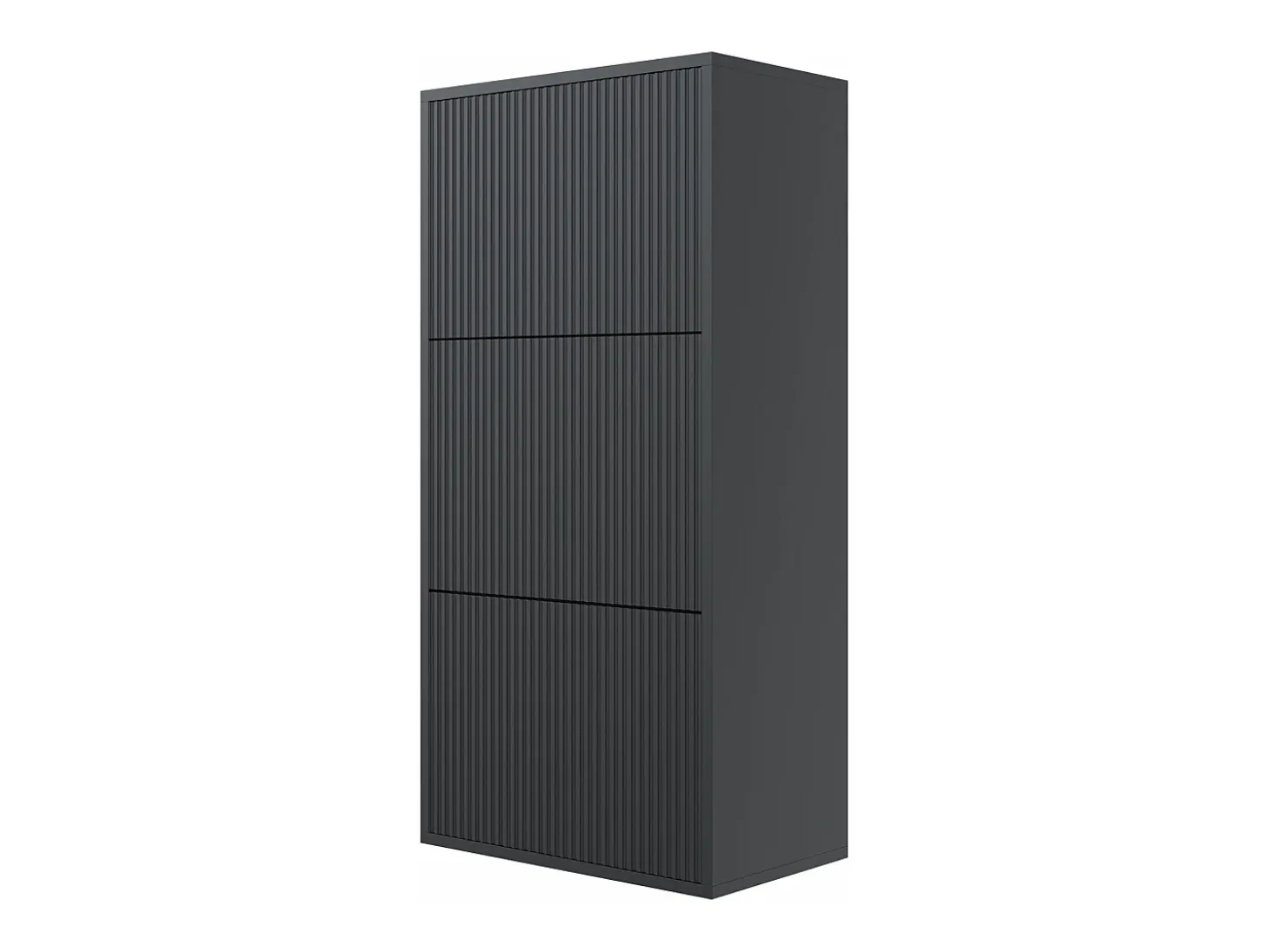 Zapatero de pared con 3 puertas - Negro - 50 cm - VELDIO