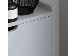 Zapatero Estrecho con 2 Solapas Organizador para Zapatos de Entrada 50 x 19 x 90 cm Gris FSR151-HG SoBuy ES