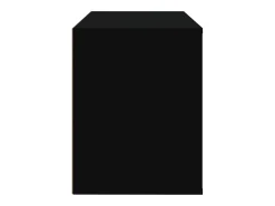 Zapatero negro 80x35x45 cm Madera contrachapada