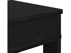 Zapatero negro 80x30x98 cm madera de ingeniería