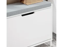 Zapatero Pequeño con 1 Solapa Organizador para Zapatos FSR151-K-W SoBuy ES